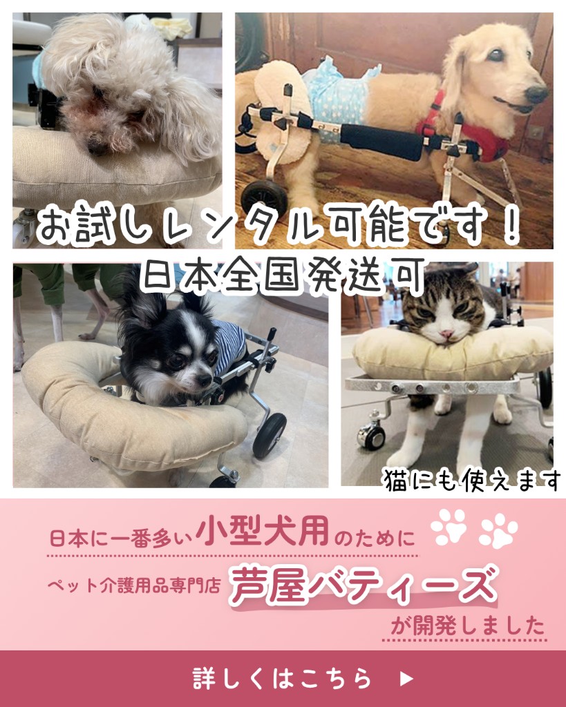 芦屋バティーズ | ペット介護・てくてくB・犬用車椅子