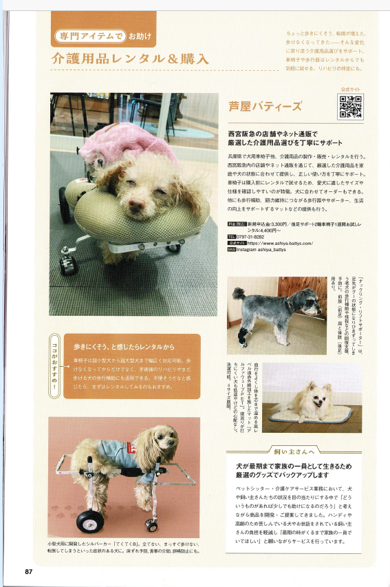 てくてくB｜シニア犬向け介護歩行器 | 芦屋バティーズ