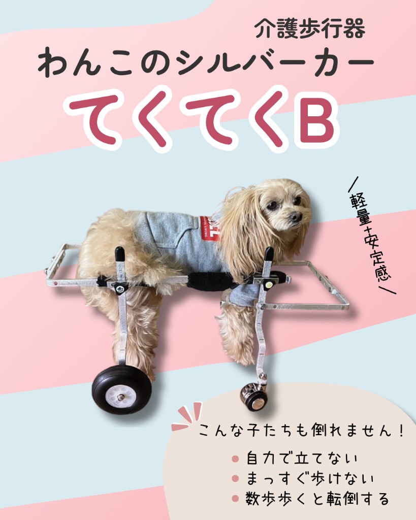 芦屋バティーズ | ペット介護・てくてくB・犬用車椅子