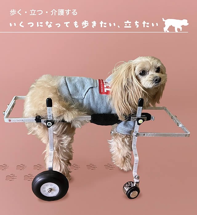 てくてくB｜シニア犬向け介護歩行器 | 芦屋バティーズ